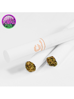 Zoom sur cigarettes 100% chanvre Sativa Canacult saveur Mango Kush