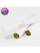 Zoom sur cigarettes 100% chanvre Sativa Canacult saveur Mango Kush