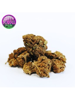 mini-fleur cbd cannatonic small bud