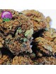 mini-fleur cbd cannatonic small bud