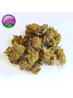 mini fleur mango kush small bud cbd