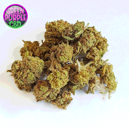mini fleur mango kush small bud cbd