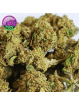 mini fleur mango kush small bud cbd