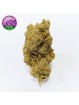 FLEUR AMNESIA US CBD