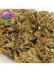 FLEUR AMNESIA US H1 CBD