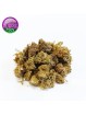 MINI-FLEUR ZKITTLES SMALL BUD CBD