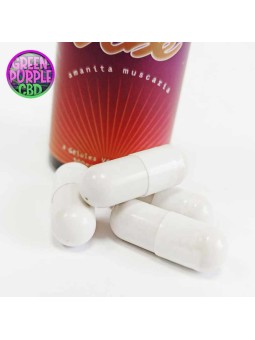 GELULES CHAMPIGNON AMANITA MUSCARIA 4 x 500MG