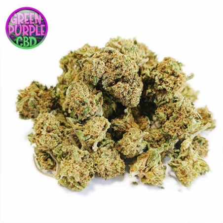 MINI-FLEUR BUBBLE GUM SMALL BUD CBD