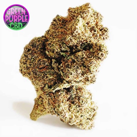 JACK HERER L'ORIGINALE CBD