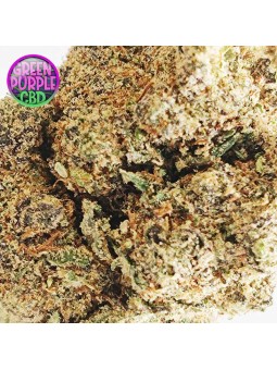 Fleur Jack Herer L'originale CBD