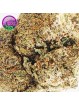 JACK HERER L'ORIGINALE CBD