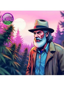 Fleur Jack Herer L'originale CBD