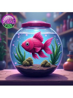 PUFF RECHARGEABLE STRONG AMNESIA TORNADO