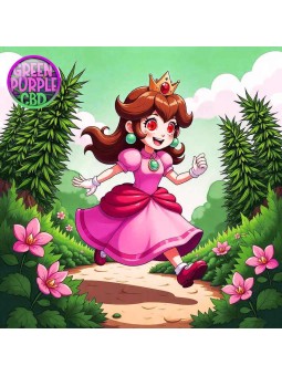 FLEUR PEACH HE CBD