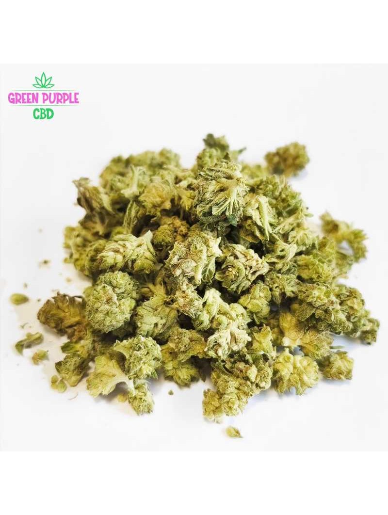 WHITE SIBERIAN SMALL BUD CBD