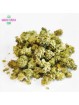 WHITE SIBERIAN SMALL BUD CBD