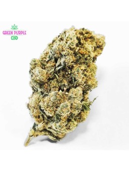 FLEUR AMNESIA US CBD