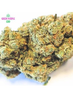 FLEUR AMNESIA US CBD