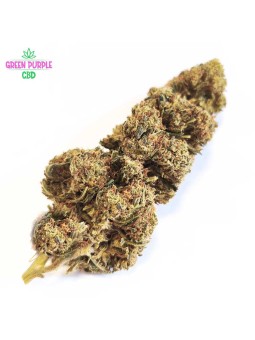 CALI HAZE B30