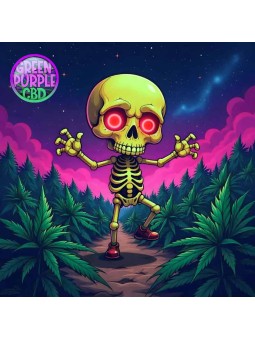 CARTOUCHE POUR PUFF RECHARGEABLE SKULL VAPE