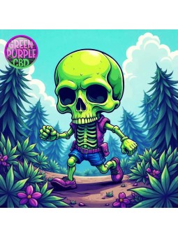 CARTOUCHE POUR PUFF RECHARGEABLE SKULL VAPE