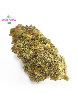 FLEUR PLUTONIUM CBD