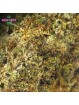 FLEUR PLUTONIUM CBD
