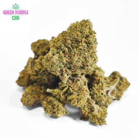 MINI-FLEUR AMNESIA SMALL BUD CBD MINI-FLEUR AMNESIA SMALL BUD CBD
