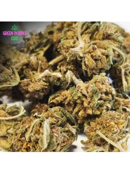 MINI-FLEUR SAPHIR KUSH SMALL BUD CBD