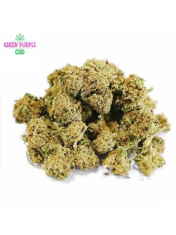 MINI-FLEUR BUBBLE GUM SMALL BUD CBD
