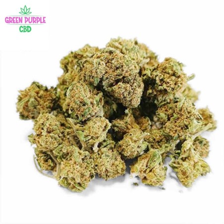 MINI-FLEUR BUBBLE GUM SMALL BUD CBD