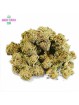 MINI-FLEUR BUBBLE GUM SMALL BUD CBD