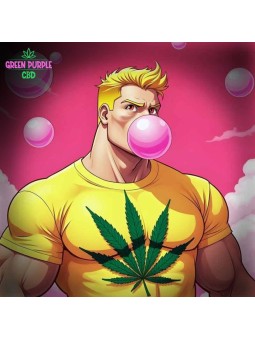 MINI-FLEUR BUBBLE GUM SMALL BUD CBD