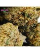 MIX MINI-FLEURS SMALL BUDS CBD