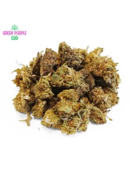 MINI-FLEUR ZKITTLES SMALL BUD CBD