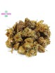 MINI-FLEUR ZKITTLES SMALL BUD CBD