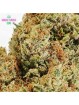 FLEUR ORANGE BUD CPM CBD