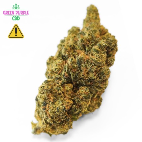 FLEUR AMNESIA US N30 !!! FLEUR AMNESIA US N30 !!!