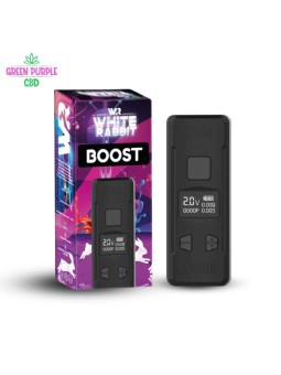 BATTERIE BOOST WHITE RABBIT