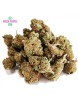 CHERRY PIE SMALL BUDS