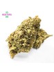 FLEUR G13 HE GATO NERO