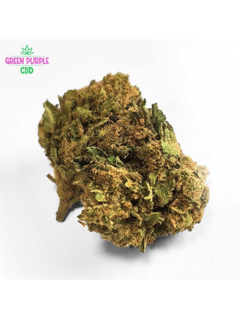 FLEUR HARLEQUIN CBD
