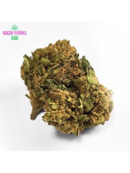 FLEUR HARLEQUIN CBD