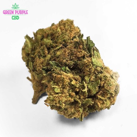 FLEUR HARLEQUIN CBD