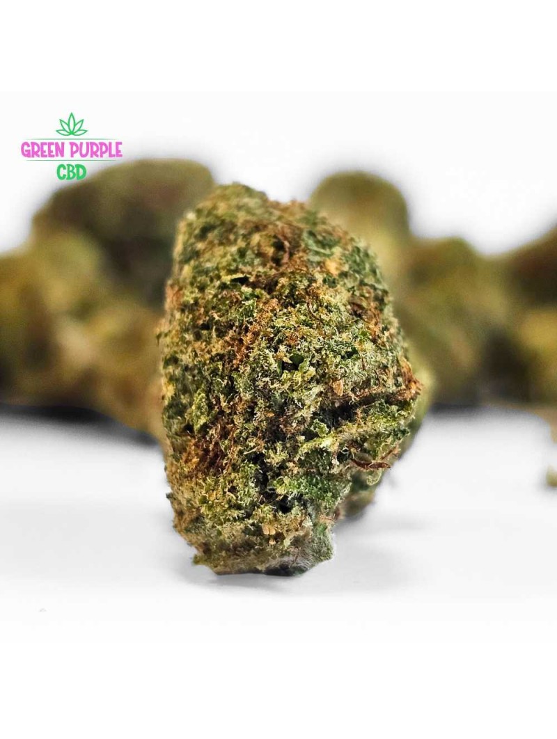 Mini-fleurs Og Tangie Small Bud