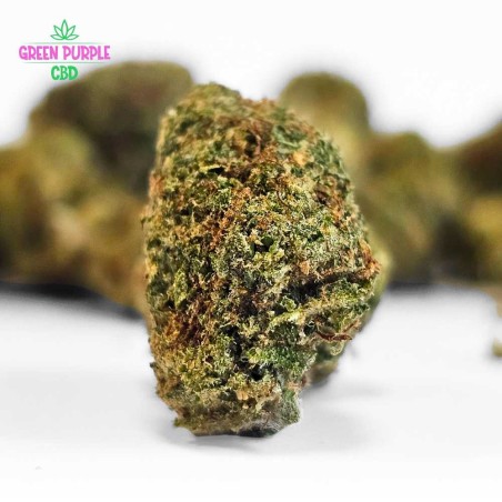Mini-fleurs Og Tangie Small Bud