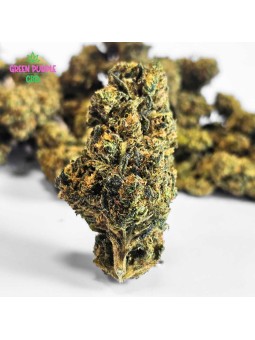 Fleur Cali Grappe N30