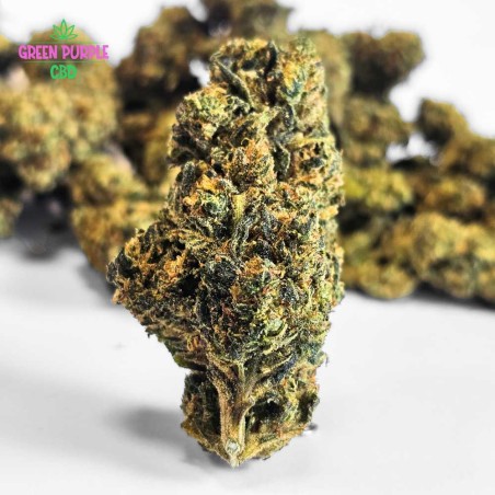 Fleur Cali Grappe N30