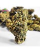Fleur Cali Grappe N30