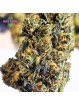 Fleur Cali Grappe N30